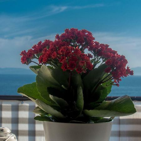 Apartment Paradise View 里耶卡 外观 照片
