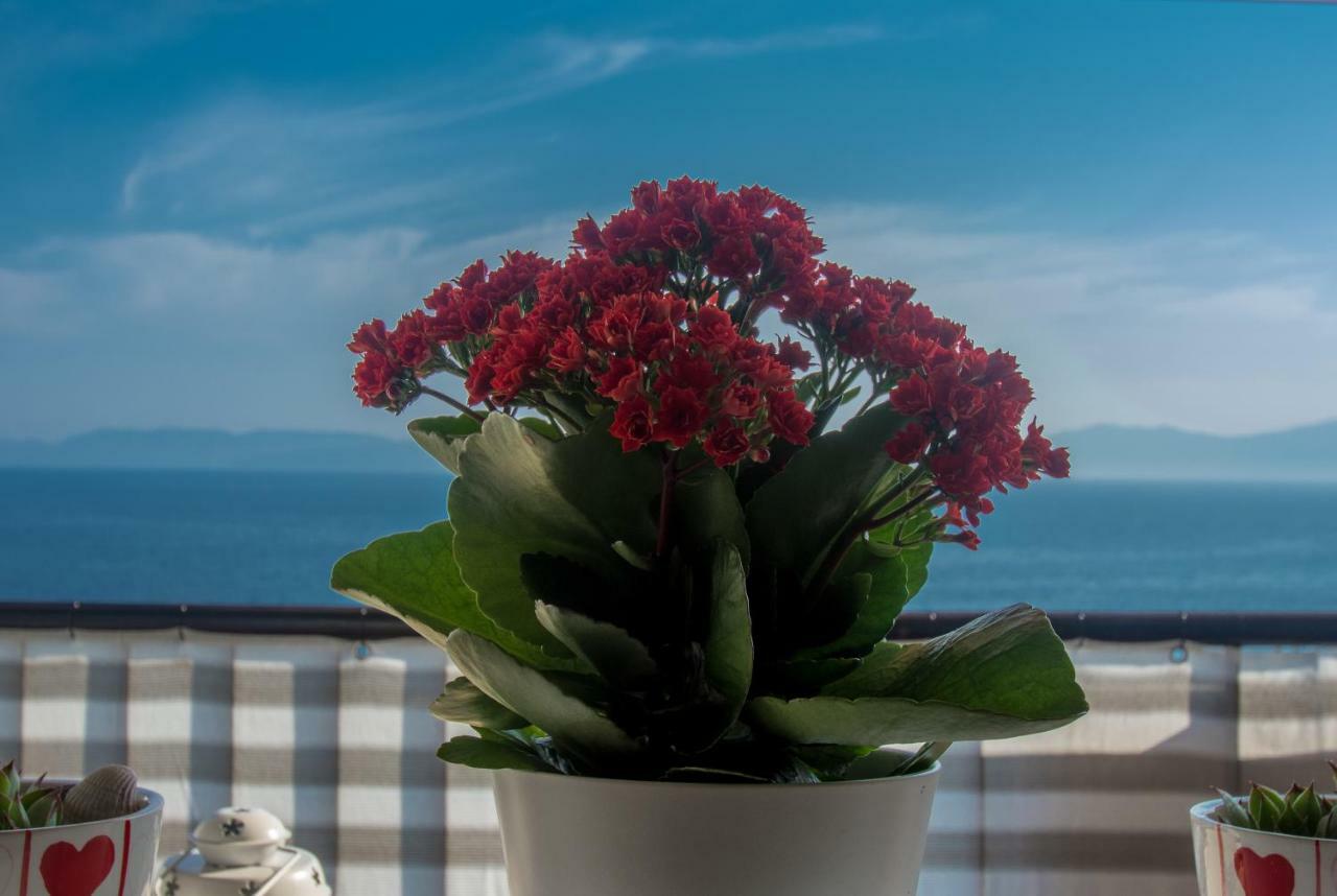 Apartment Paradise View 里耶卡 外观 照片
